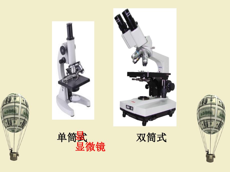 显微镜的结构和功能PPT_第3页