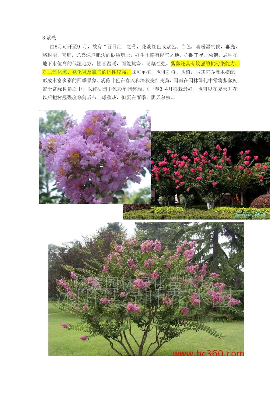 18864编号夏季开花树木、常绿树木_第3页