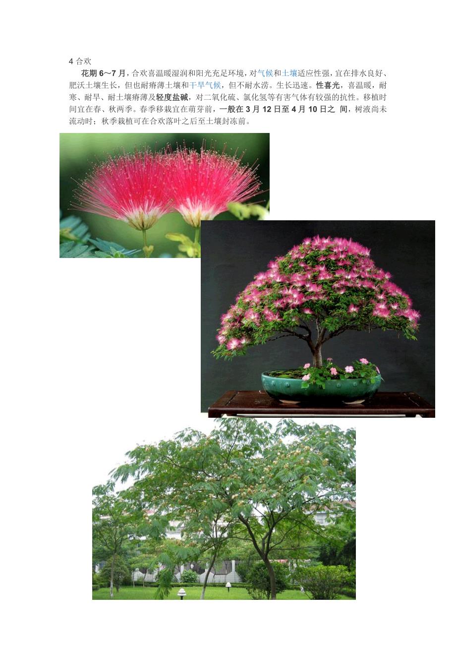 18864编号夏季开花树木、常绿树木_第4页