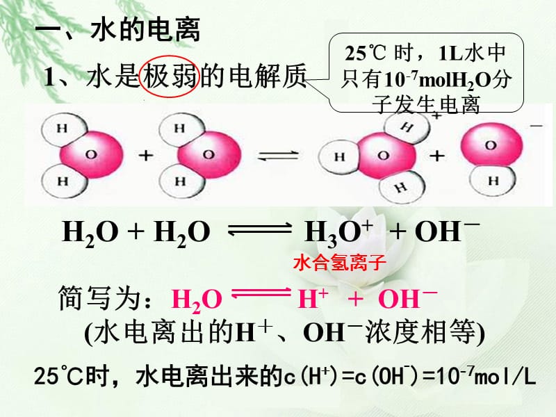 第2节（13课时） 水的电离和溶液的酸碱性课件_第3页