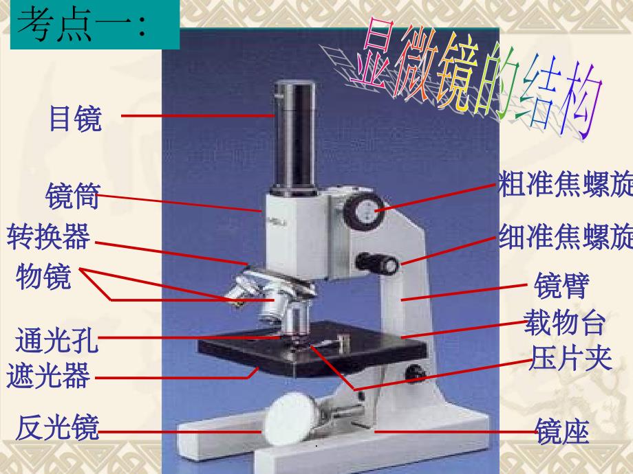 七年级生物《细胞是生命活动的基本单位》复习ppt课件_第3页