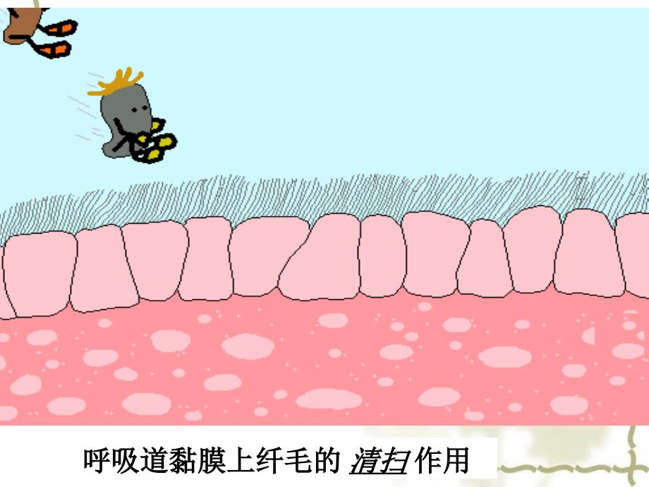 第二节免疫与计划免疫八年级下册生物课件_第4页