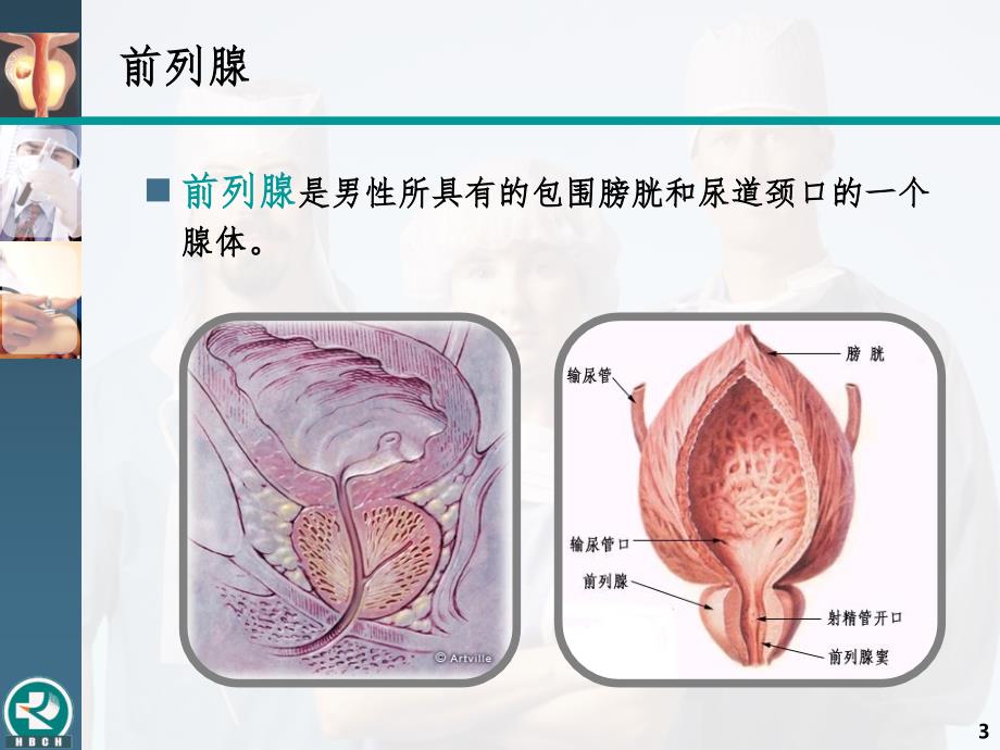 前列腺癌相关肿瘤标志物的临床应用PPT课件_第3页