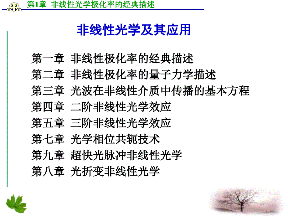 非线性光学极化率的经典描述ppt课件_第1页