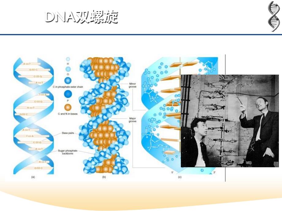 医学遗传学2015--表观遗传学(2学时)课件_第4页