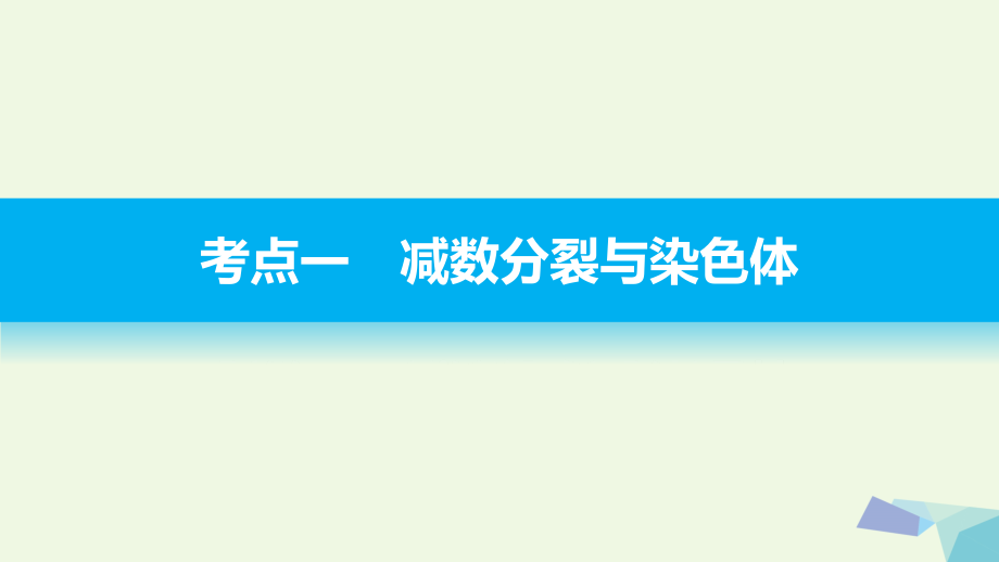 2076编号步步高浙江专用2017届高考生物二轮复习专题九减数分裂与受精作用课件_第3页