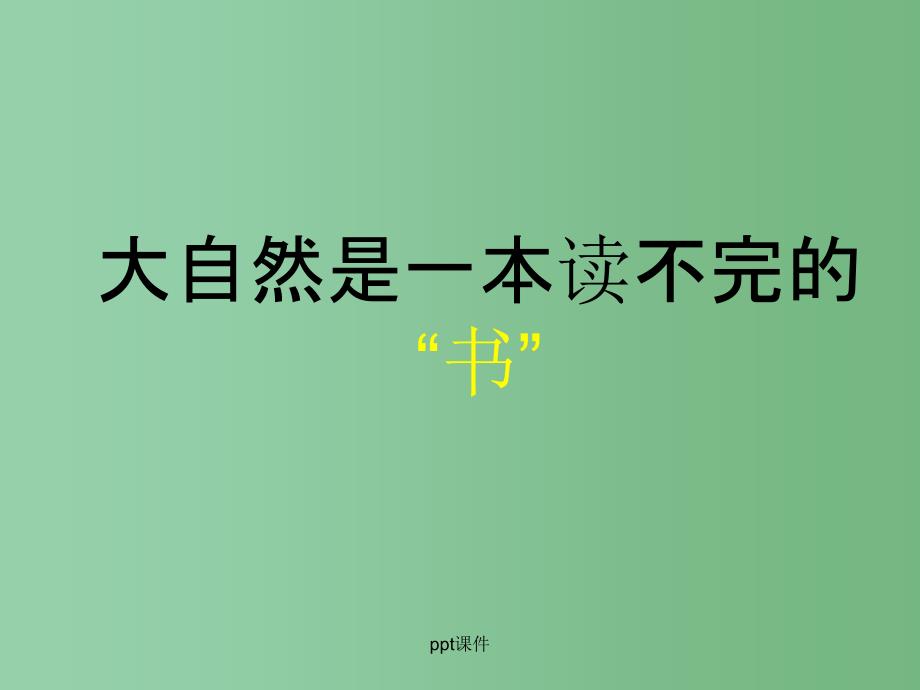 二年级语文下册 第2单元 7《岩石书》课件8 语文S版A_第2页