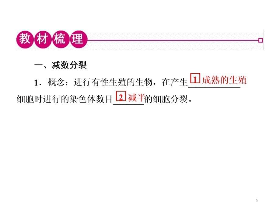 减数分裂与受精作用（课堂PPT）_第5页