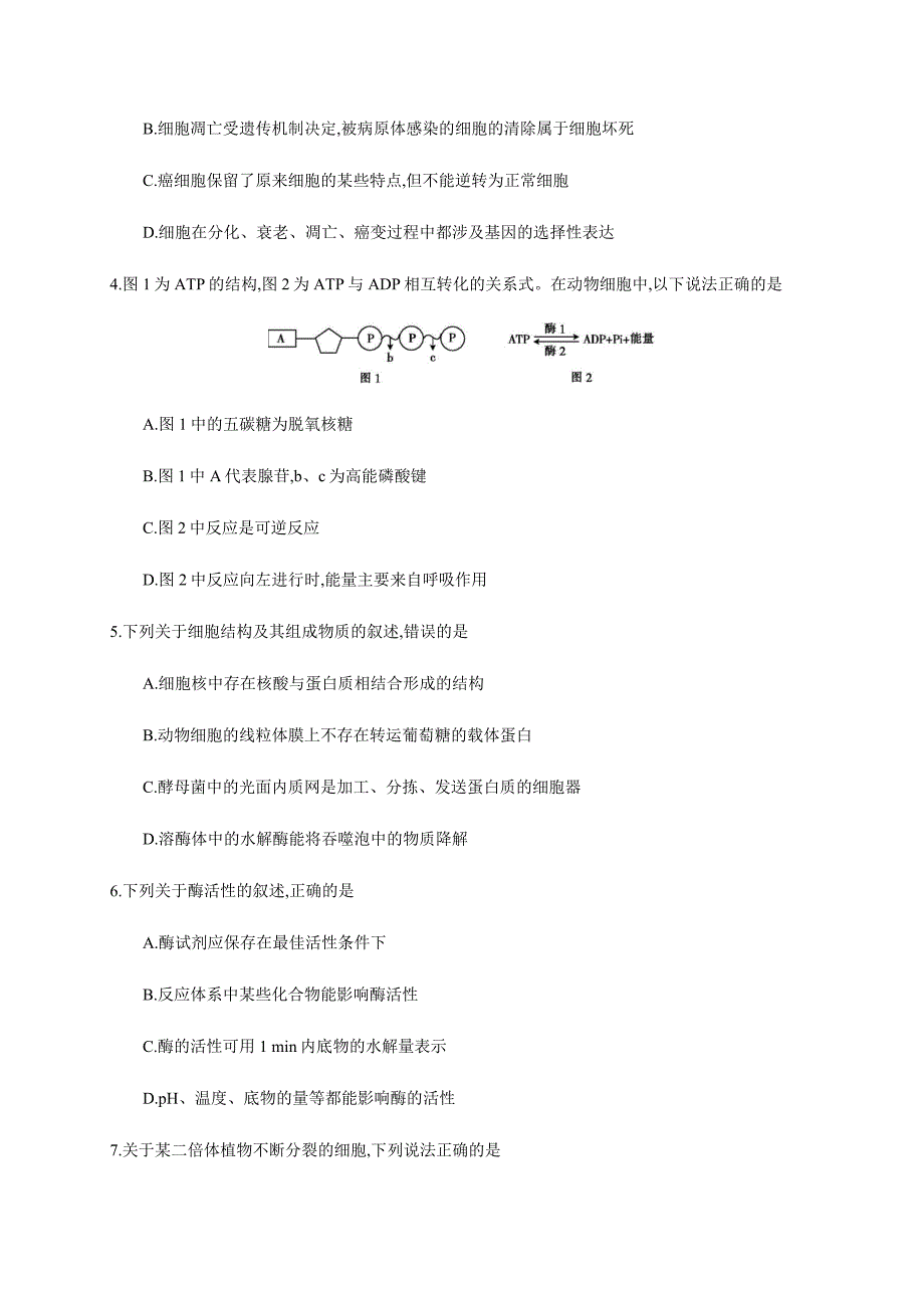 浙江省名校协作体2021届高三上学期开学考试生物试题 Word版含答案_第2页