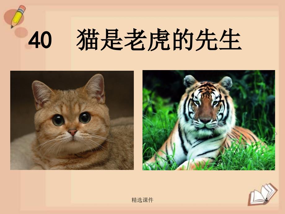 三年级语文上册《猫是老虎的先生》课件4 沪教版_第4页