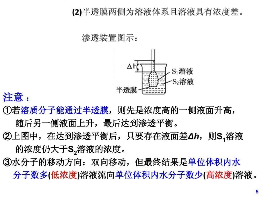 高三一轮复习物质跨膜运输的方式和实例（课堂PPT）_第5页