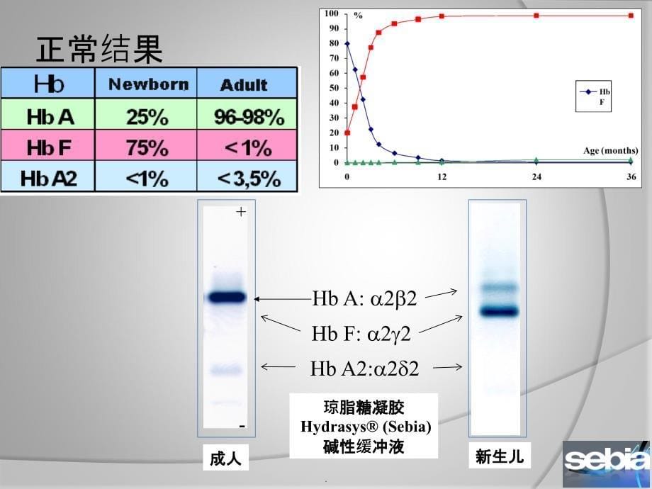 血红蛋白电泳的意义和判断ppt课件_第5页