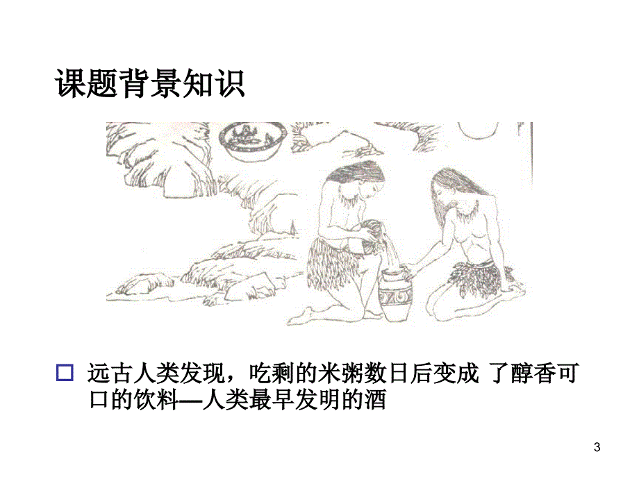 果酒和果醋的制作（课堂PPT）_第3页