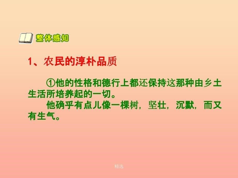 201X春六年级语文下册 第13课《祥子买车》（人物性格）教学课件 冀教版_第5页