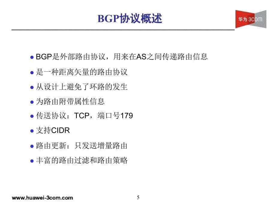 BGP路由协议_第5页