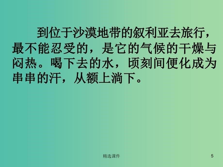 五年级语文下册 9《叙利亚的卖水人》课件5 沪教版_第5页