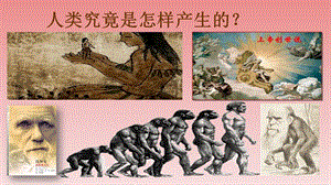 人教部编版七年级上学期历史第1课--中国境内早期的人类代表――北京人课件（43张PPT））