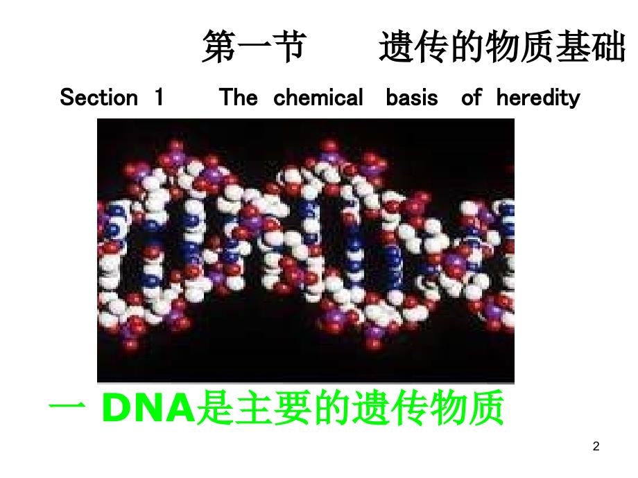 高二生物遗传和变异（课堂PPT）_第2页