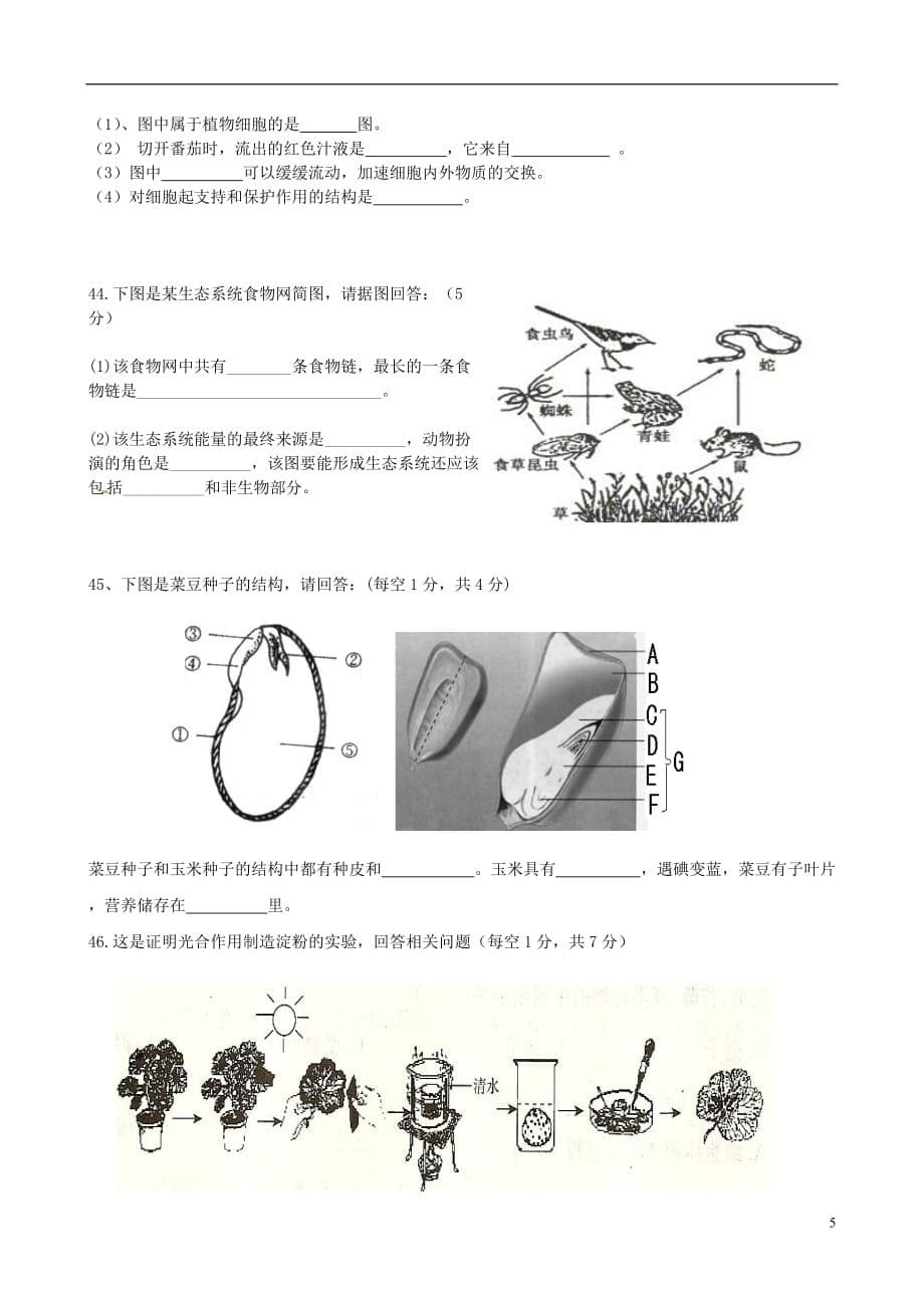 云南省建水县建民中学七级生物下学期期末模拟考试试题（无答案）_第5页