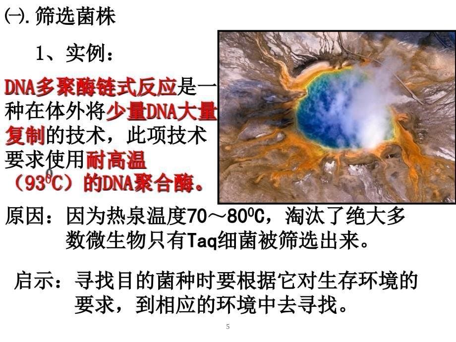 土壤中分解尿素的细菌的分离与计数定稿（课堂PPT）_第5页