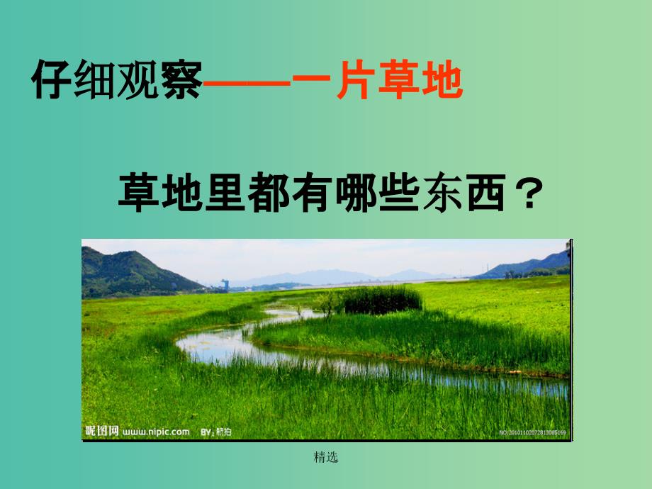 三年级科学上册 1.1《探索自然》课件3 大象版_第3页