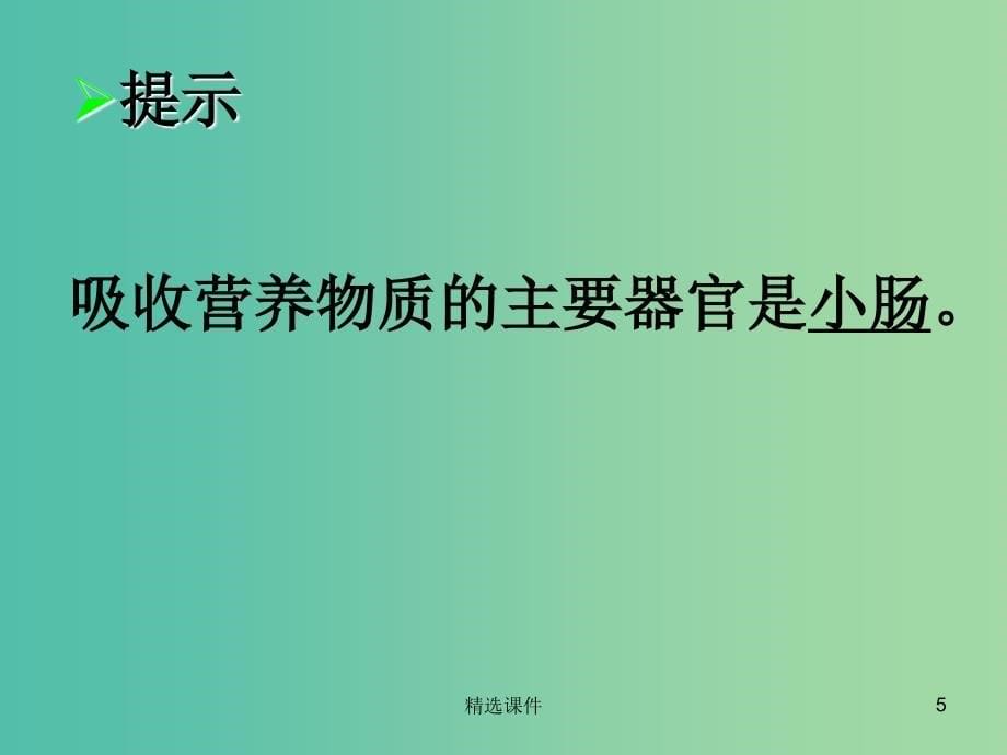 四年级科学上册 2.3《一次奇妙的旅行》课件4 大象版_第5页