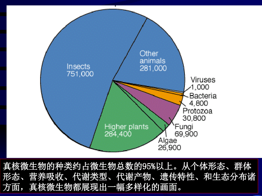 微生物第三章2.ppt_第2页