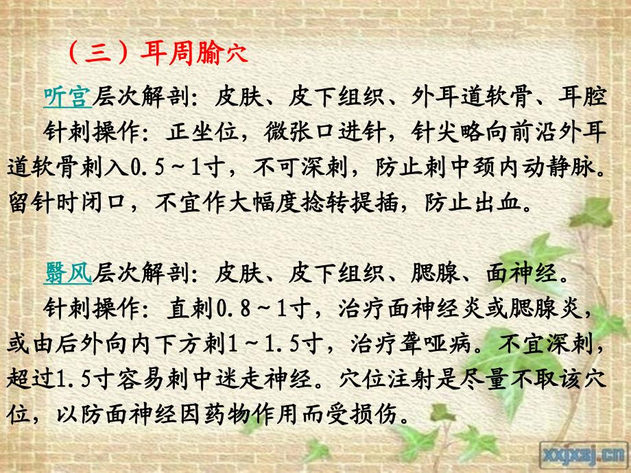 第四节分部腧穴针刺法课件_第4页