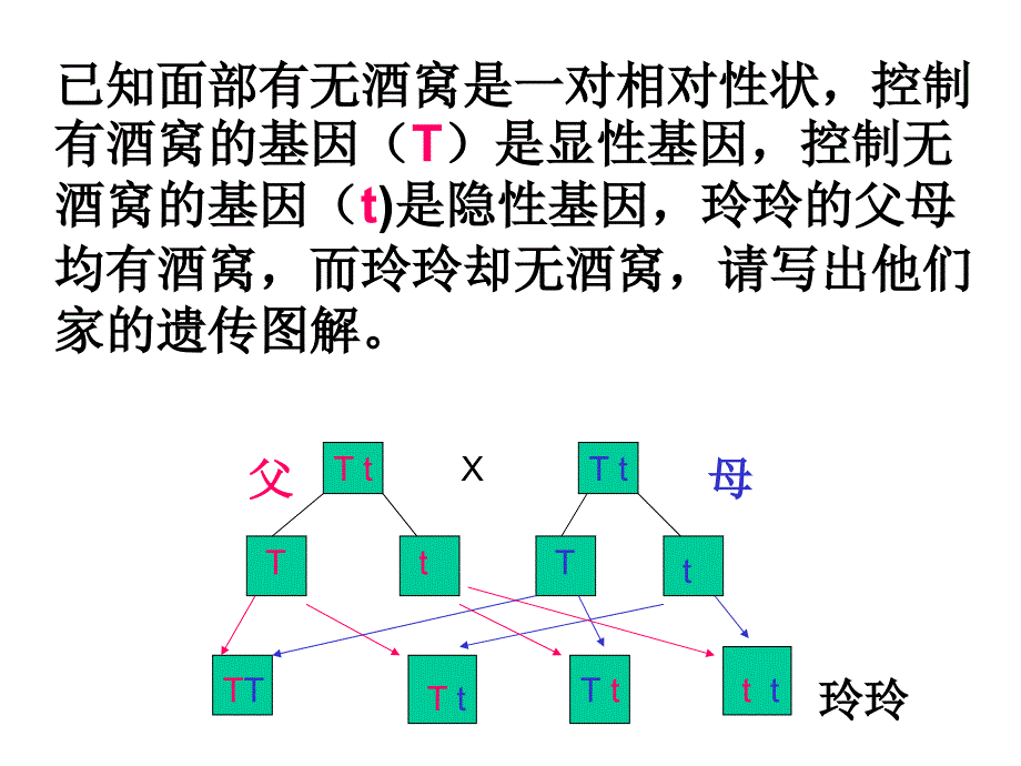 第四节人的性别遗传课件_第2页