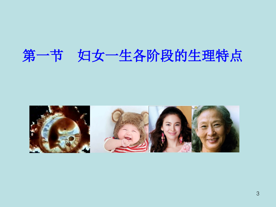 妇产科学女性生殖系统生理（课堂PPT）_第3页