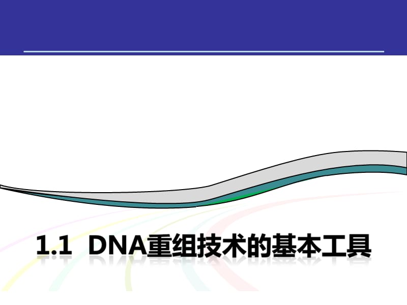 专题一基因工程选修三DNA重组技术的基本工具基因工程精编版_第5页