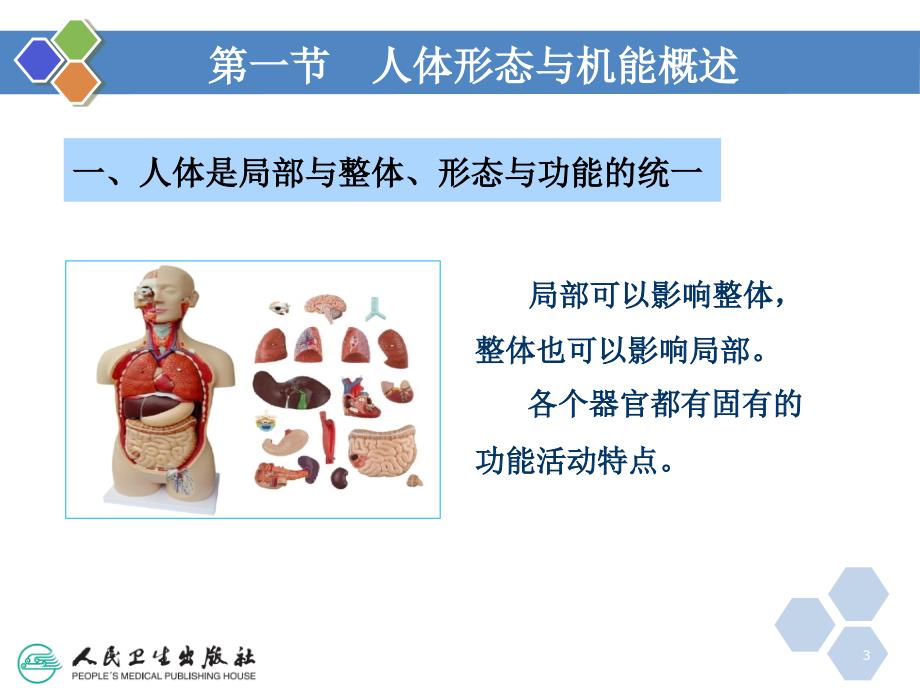 医学基础知识（课堂PPT）_第3页