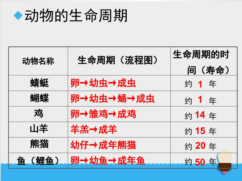 2.6《其他动物的生命周期》课件.ppt_第4页