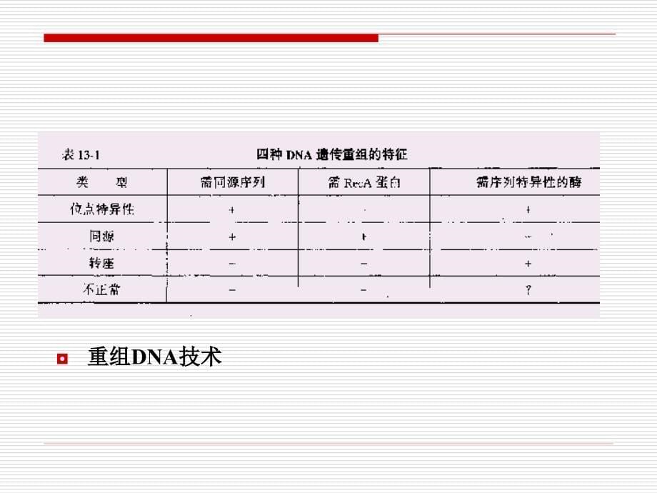 第八章DNA重组与转座精编版_第5页