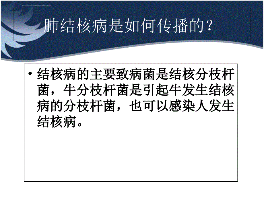 肺结核知识讲座课件模板_第4页