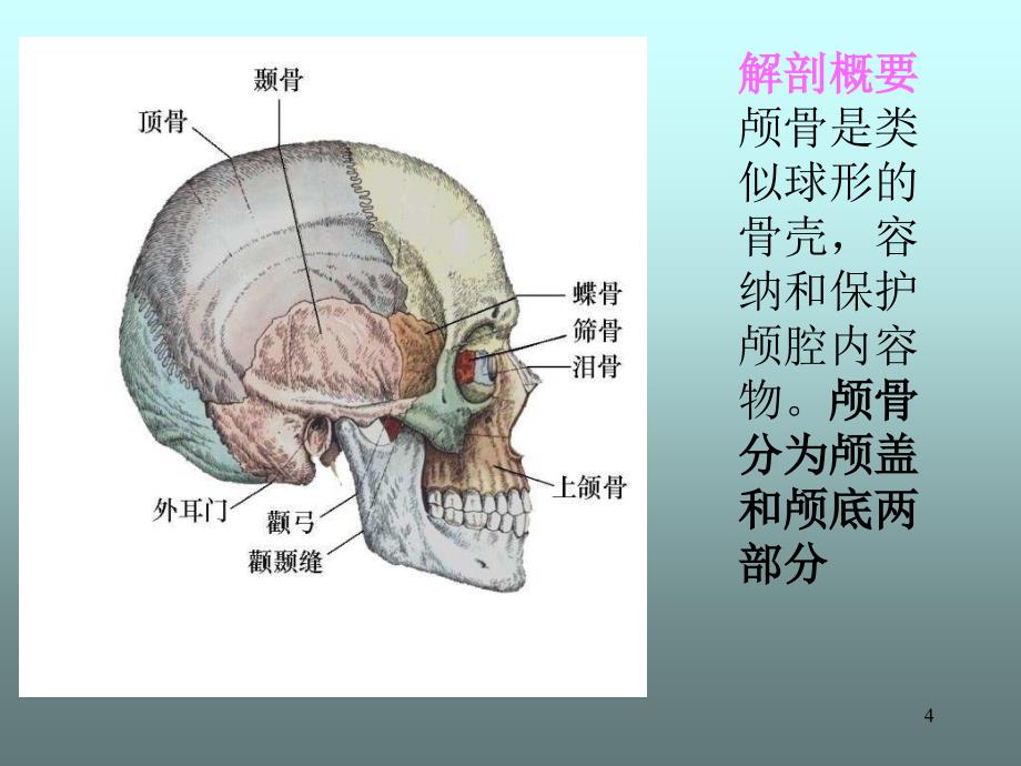 颅骨骨折的护理（课堂PPT）_第4页