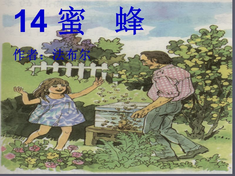 14《蜜蜂》PPT课件.ppt_第2页