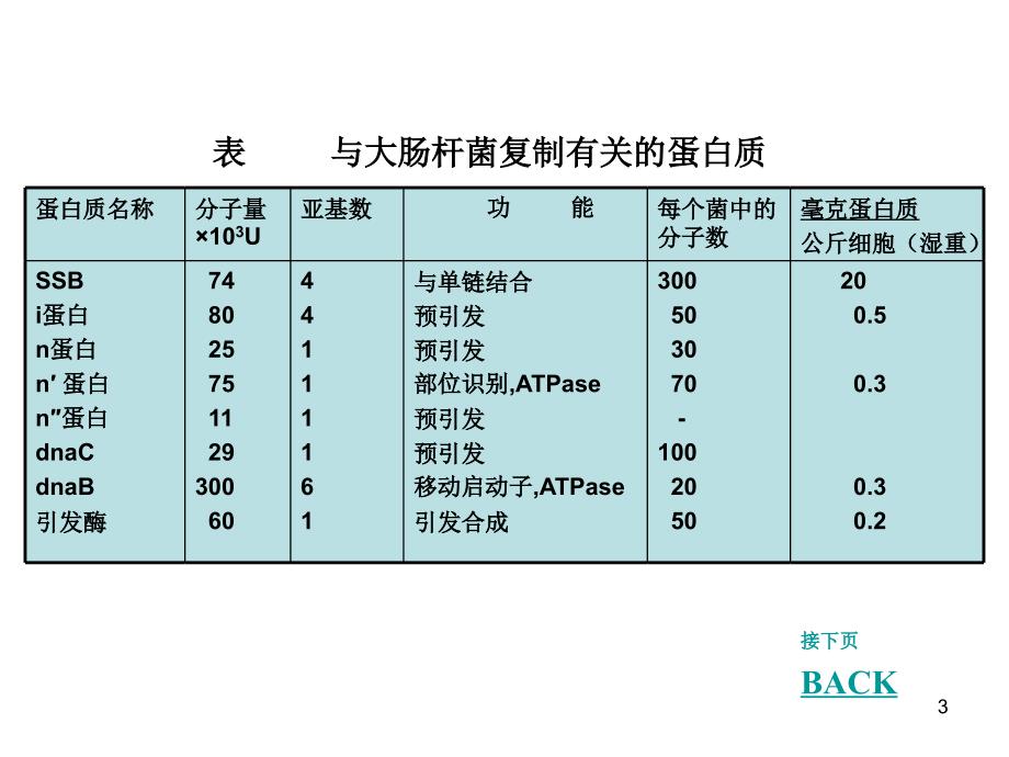 参与DNA复制有关的酶和蛋白质（课堂PPT）_第3页