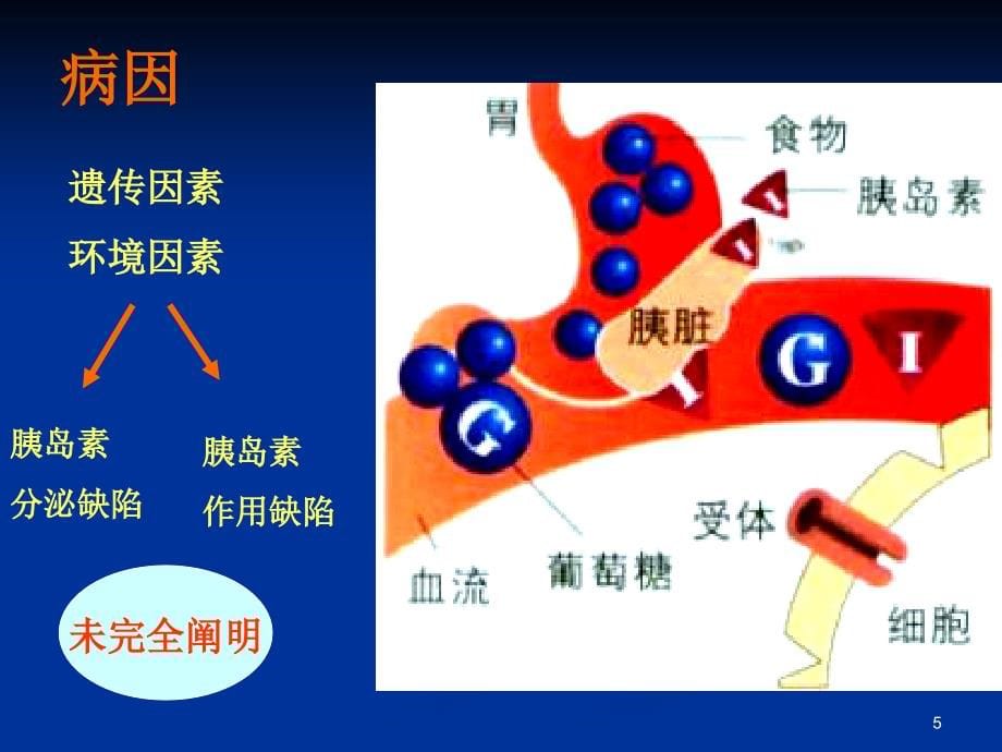 糖尿病最新版(课堂PPT）_第5页