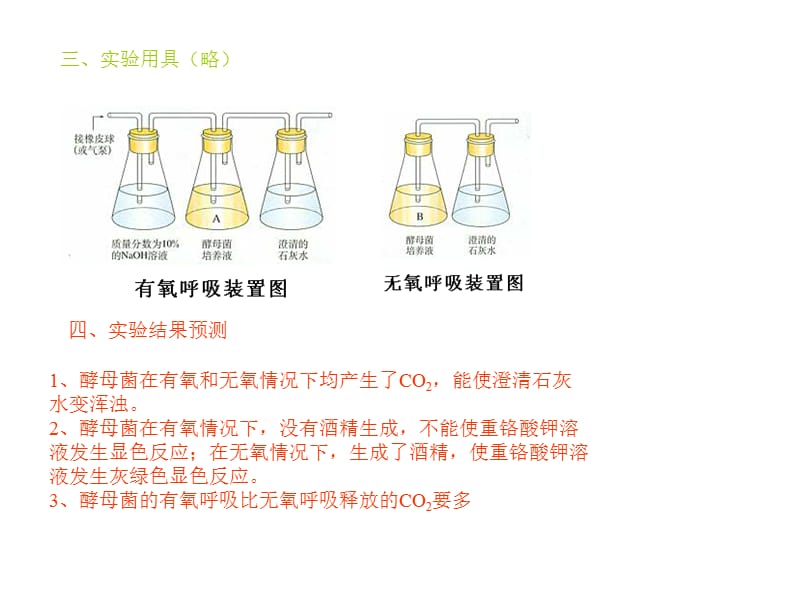 生物人教必修一第五章第3节ATP的主要来源细胞呼吸课件_第4页