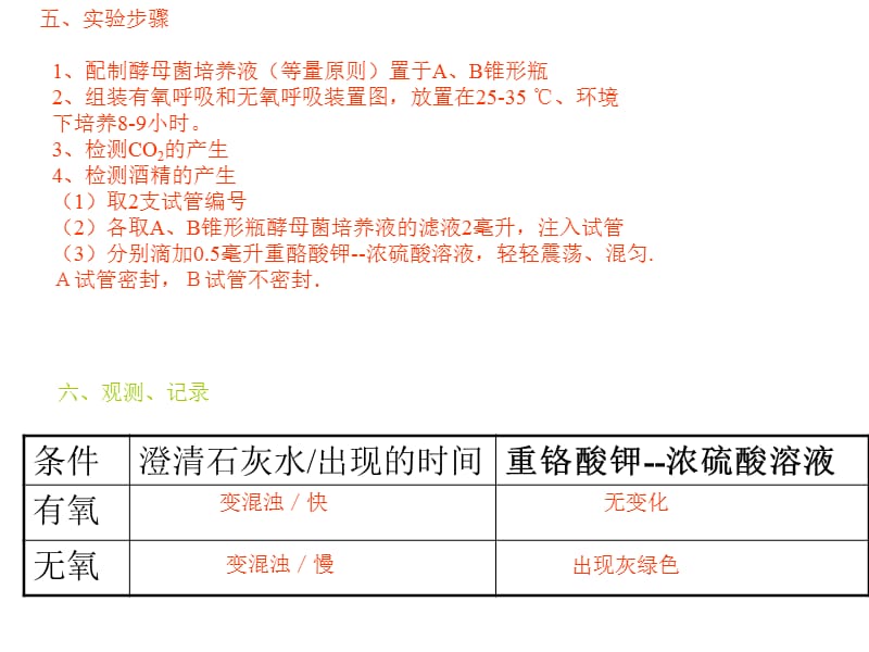 生物人教必修一第五章第3节ATP的主要来源细胞呼吸课件_第5页