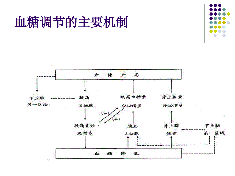 糖尿病常用的实验室检测指标课件_第4页