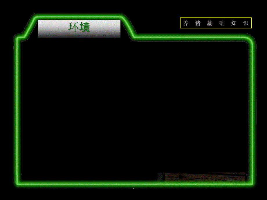 养猪基础知识ppt课件_第2页