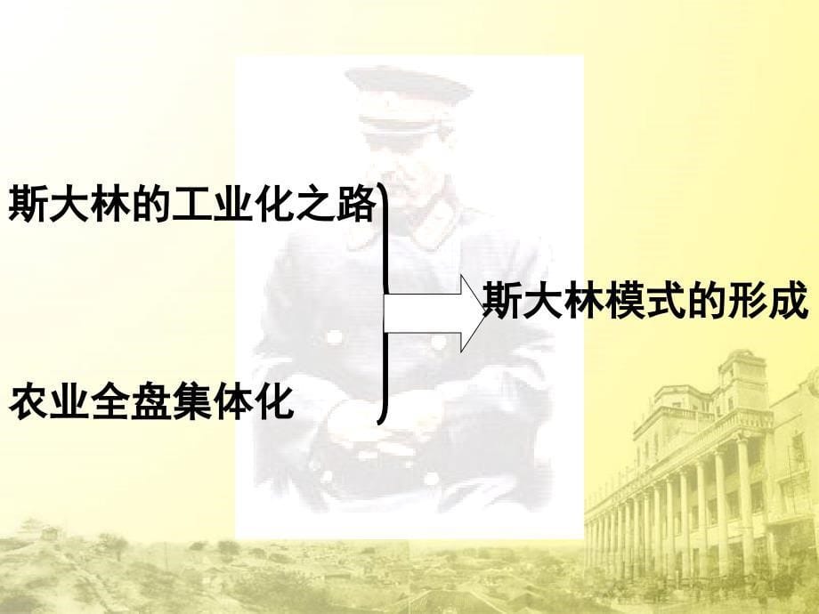 6657编号历史：7.2《斯大林模式的社会主义建设道路》课件9(人民版必修二)_第5页