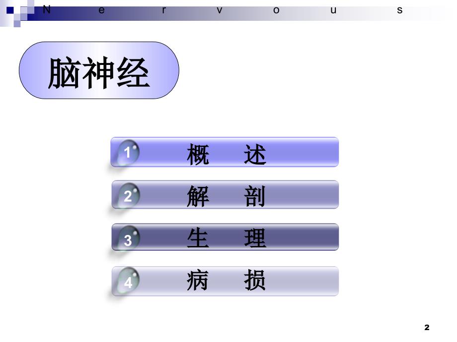 十二对颅神经（课堂PPT）_第2页