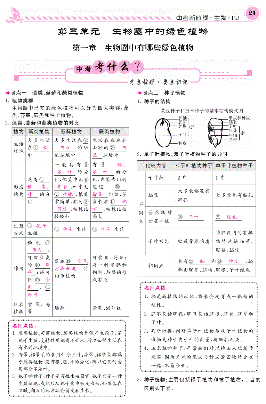 中考生物第一轮系统复习七上第三单元生物圈中的绿色植物(pdf)新人教版(优选.)_第1页