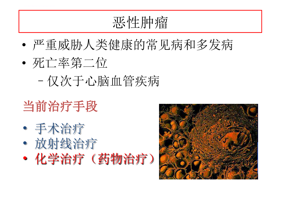 药物化学(第七版)第七章 抗肿瘤药课件_第4页