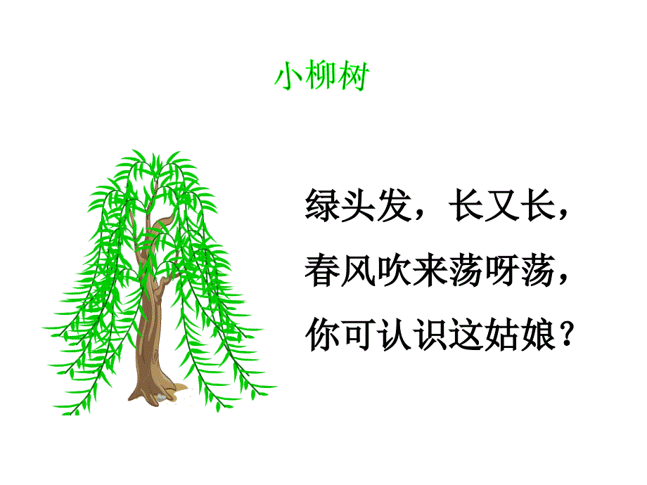 15《小柳树和小枣树》优秀课件.ppt_第1页