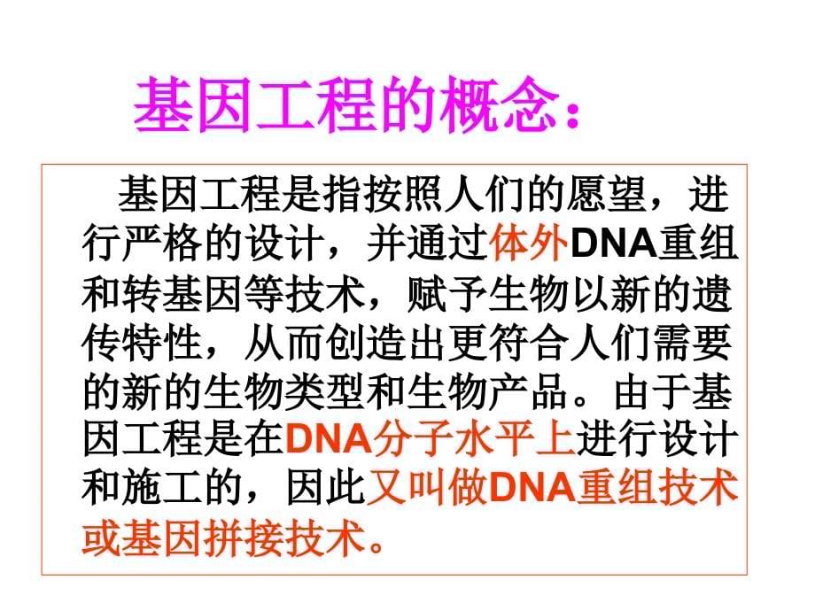 DNA重组技术的基本工具(讲课)精编版_第5页