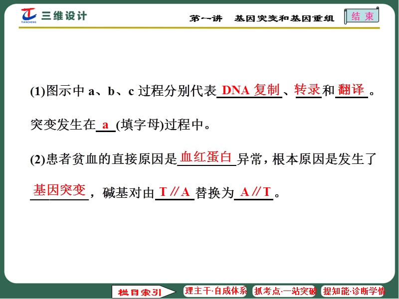 T1_基因突变和基因重组精编版_第3页